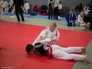 2013 03 05 - 071 Per Ottosson